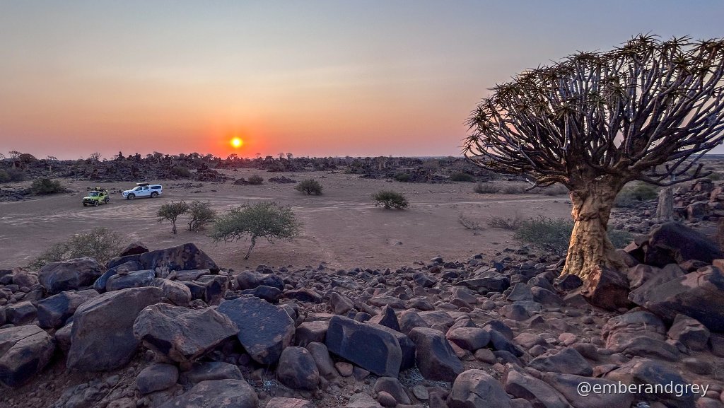 Quiver Tree Forest, Keetmanshoop