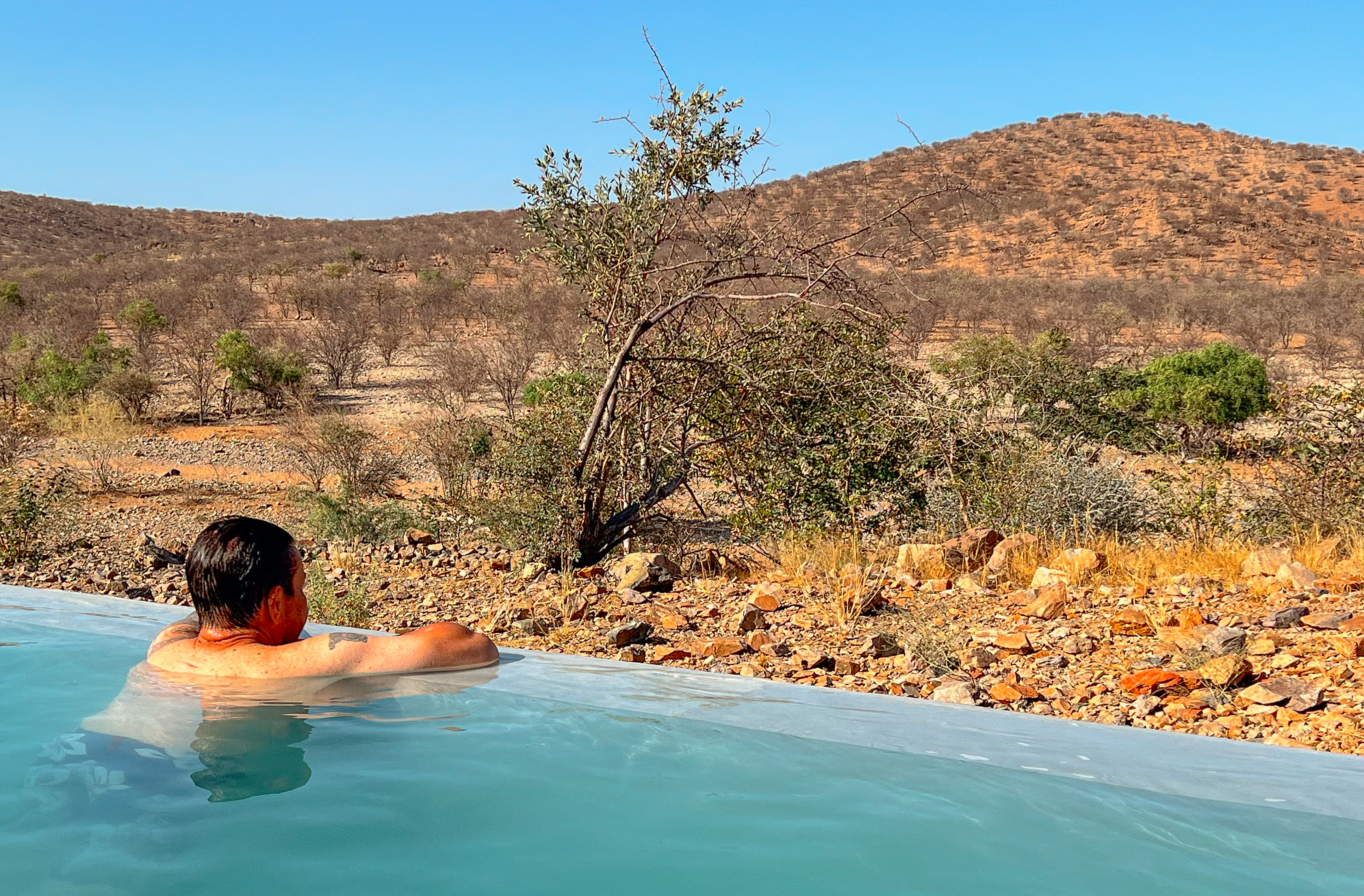 Watching the bush from a lodge infinity pool — one of the days the vehicle doesn't move
