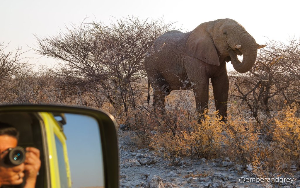 Etosha National Park