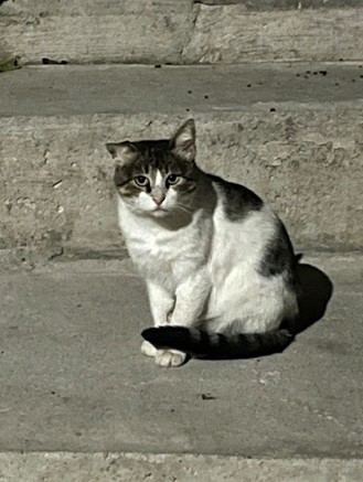 Friendly Local