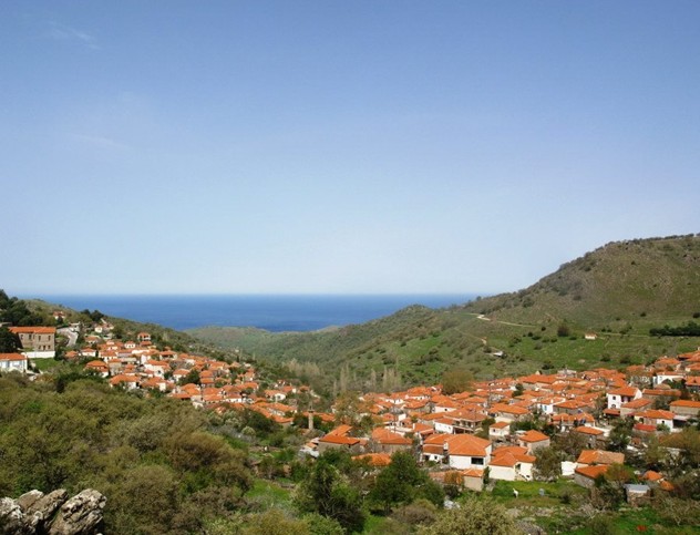 View of the Great Blue