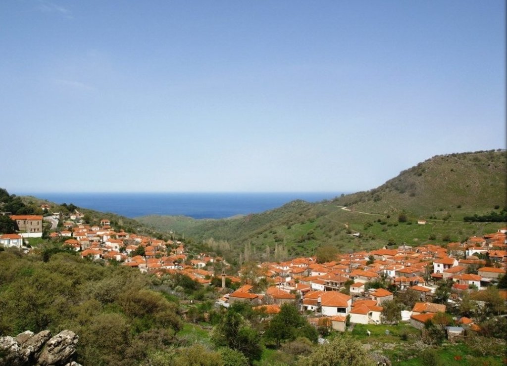 Village View