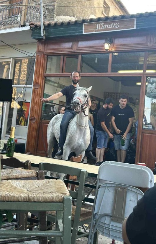 Panigiri Profiti Ilia