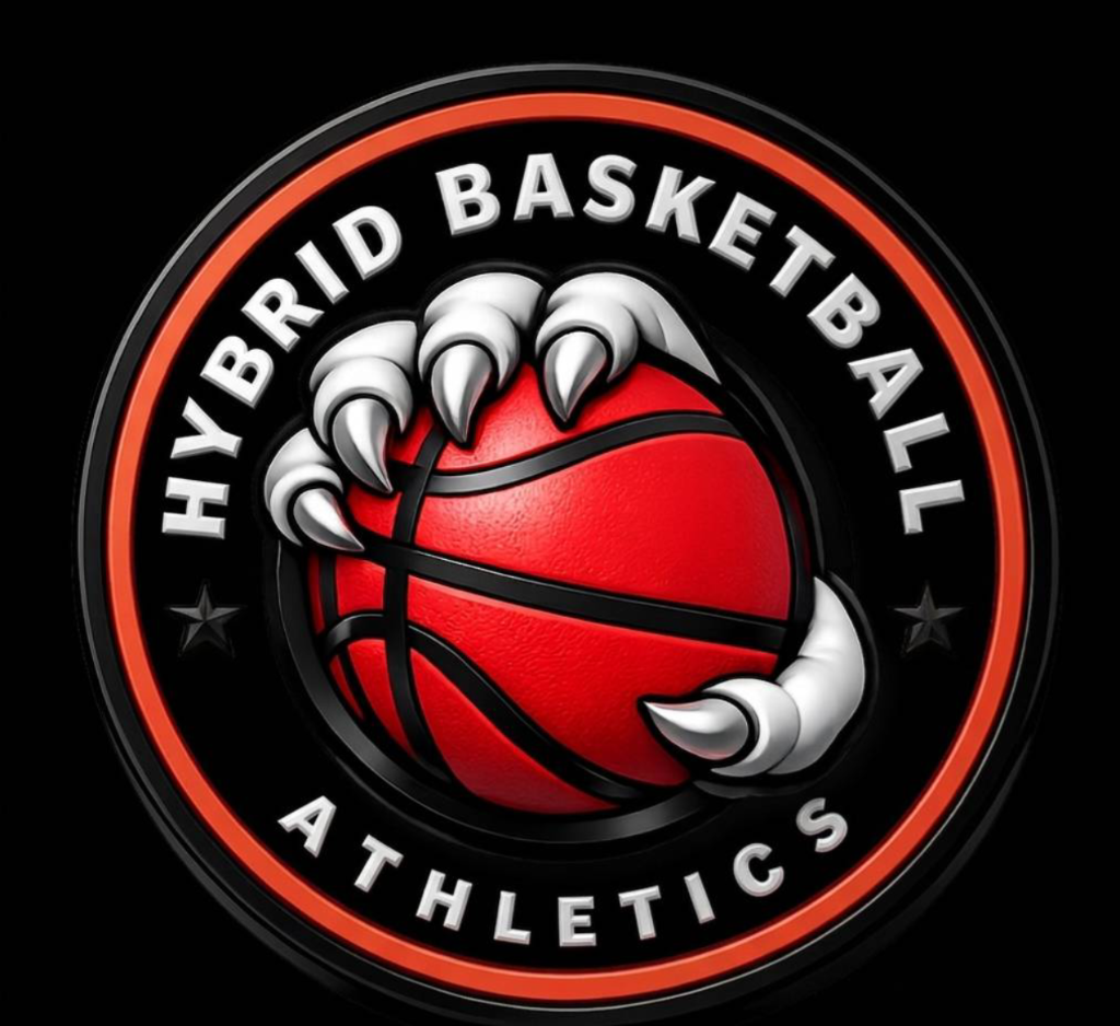 Hybrid Basketball