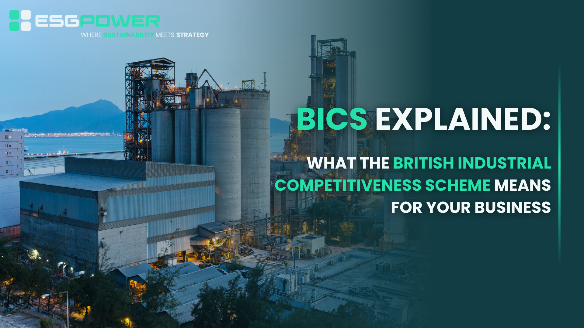 BICS Explained