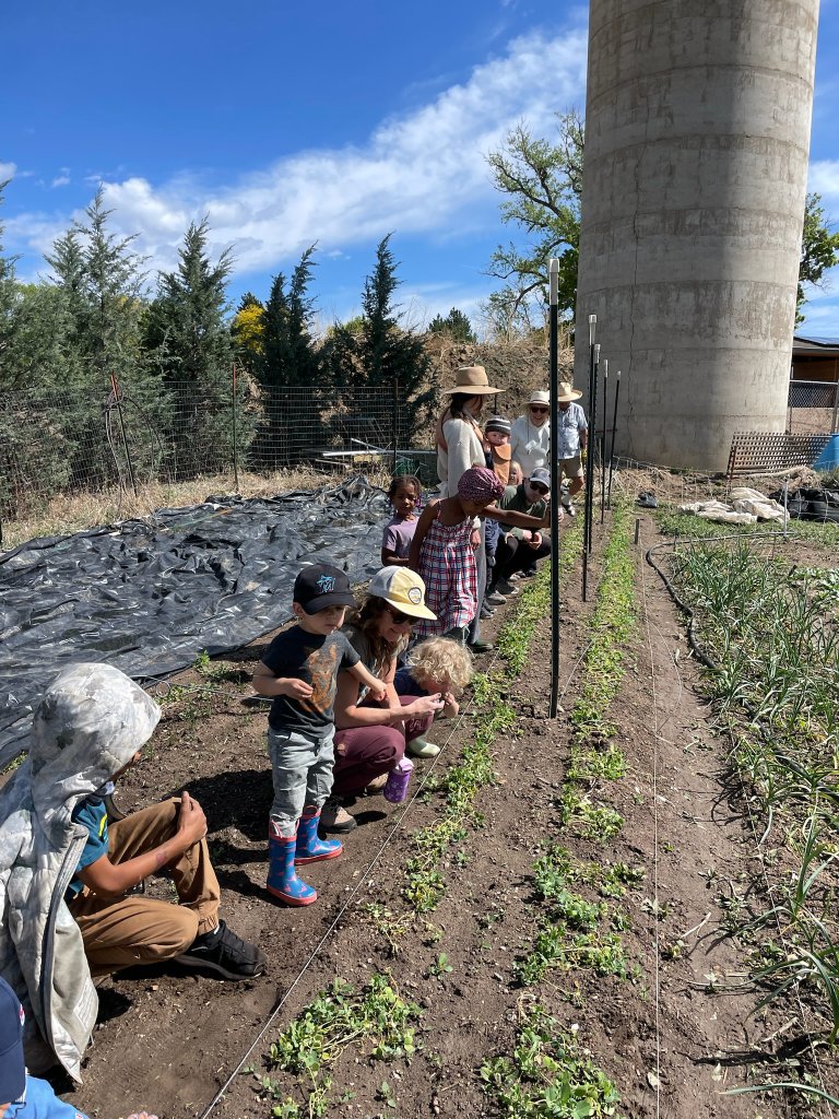 Sun & Soil farm program