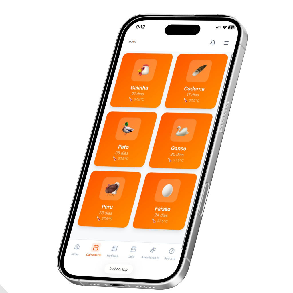 Inchoc App - IA Integrada