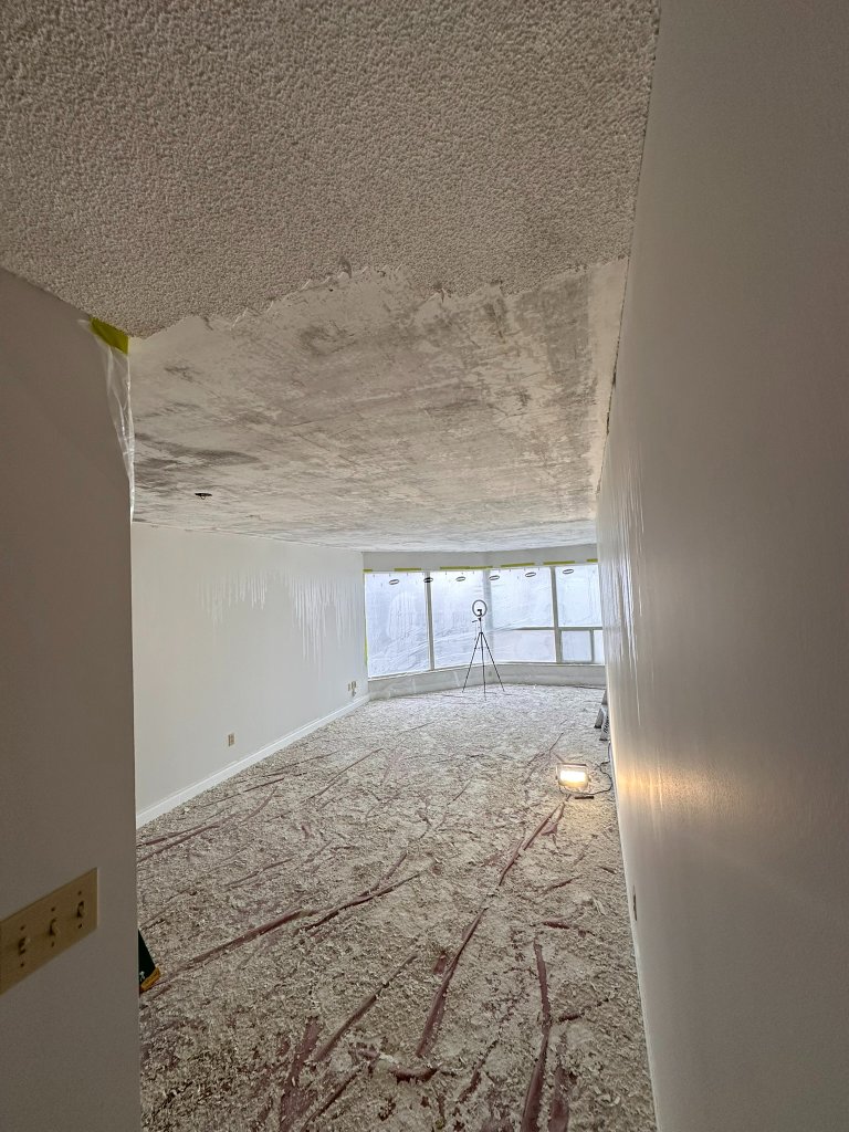 Renovation Management Toronto - professional painting service