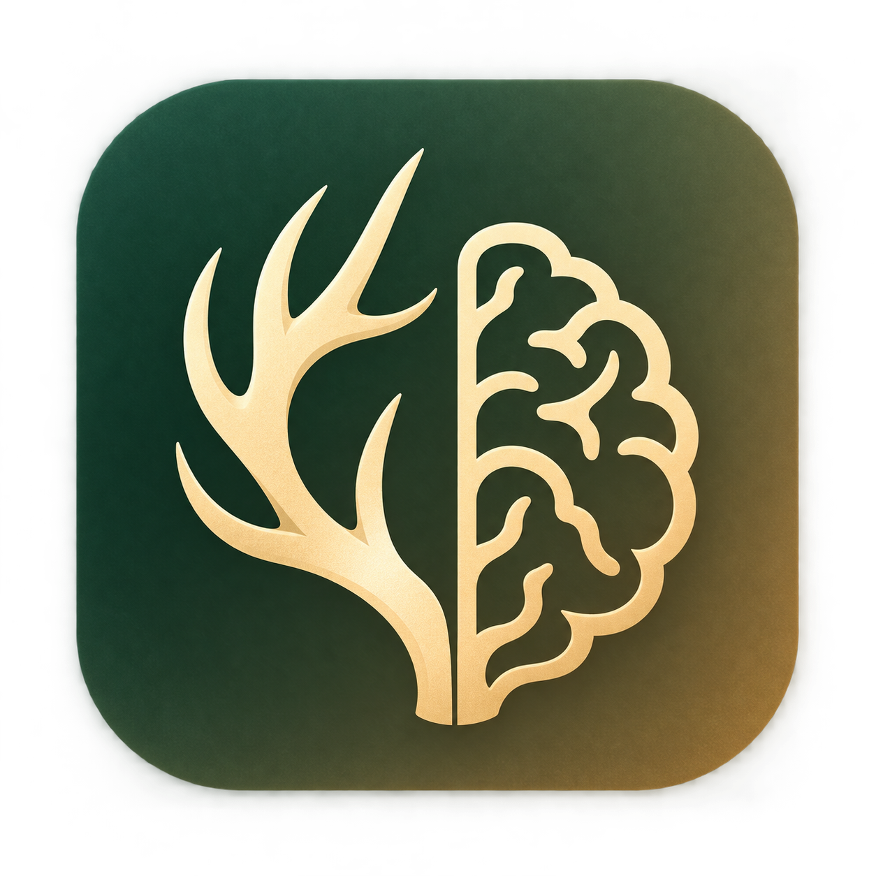 IQhunt