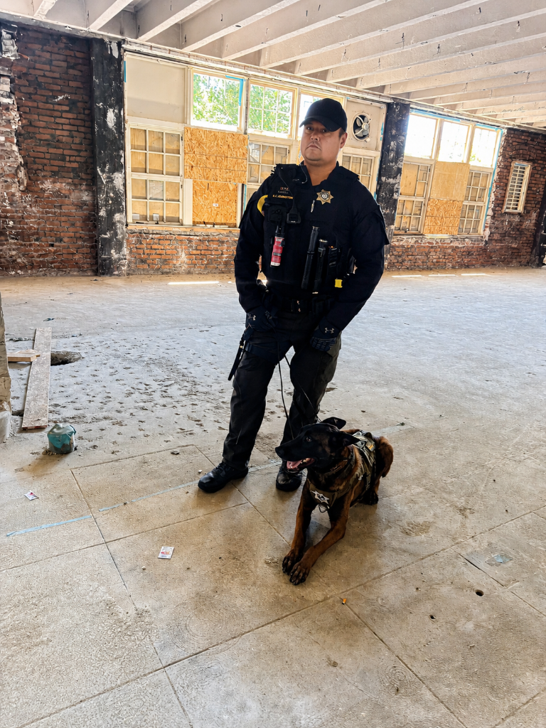 Gate Entry — Perimeter Watch