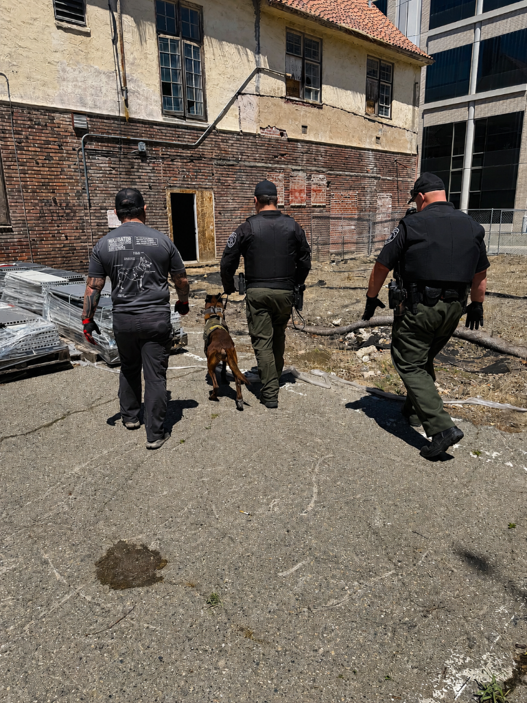 Canine Boundary Deployment