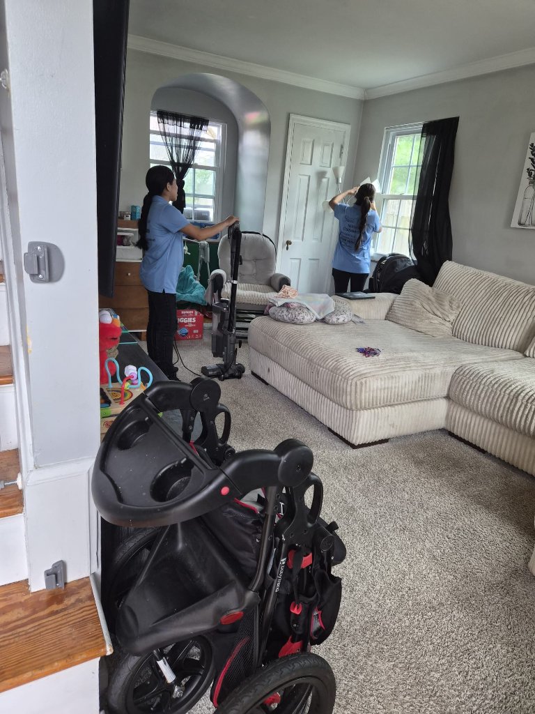 Living Room Cleaning