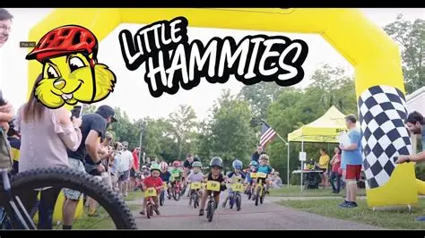 Little Hammies