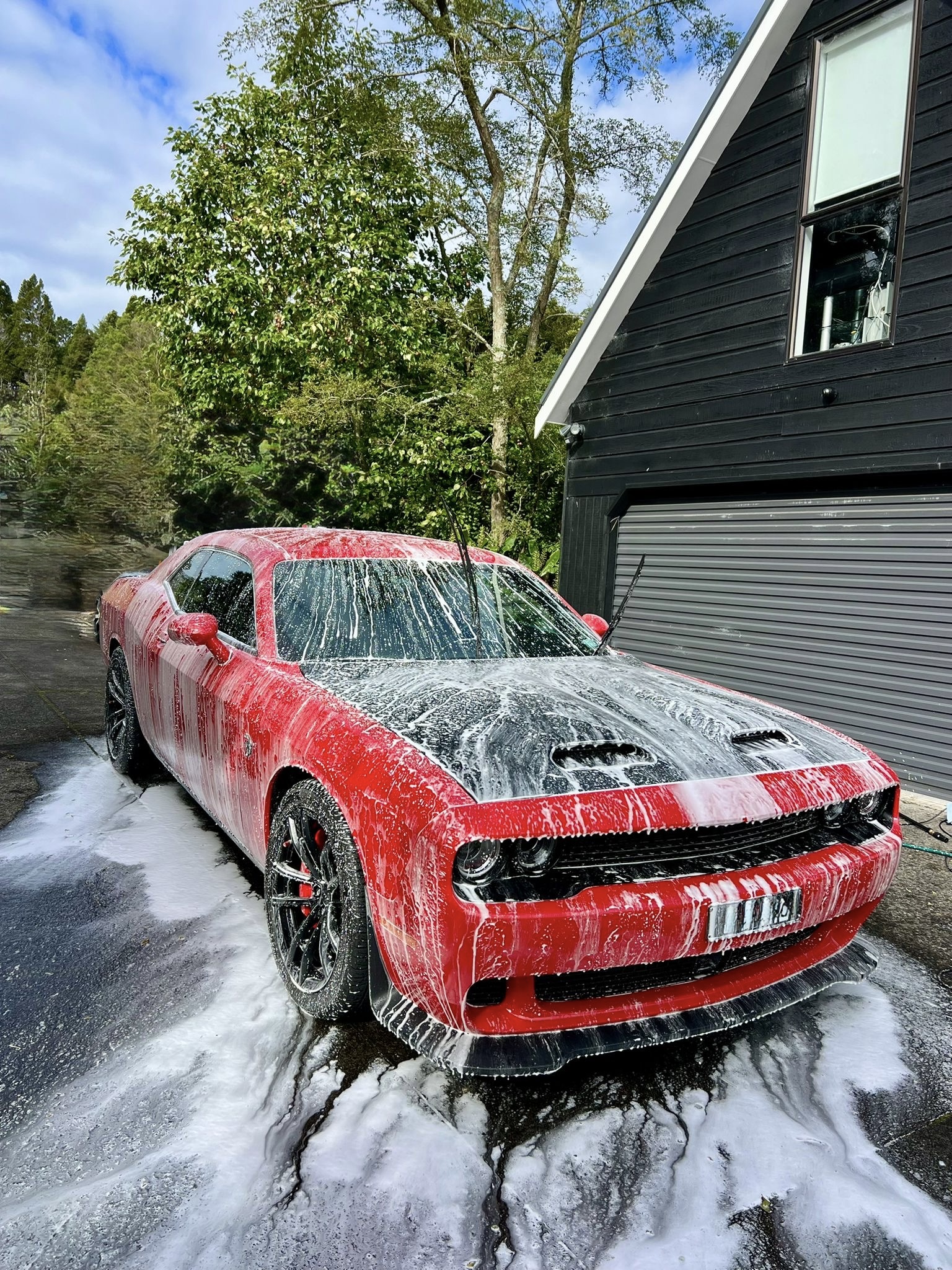 Wash Wizards mobile detailing Auckland