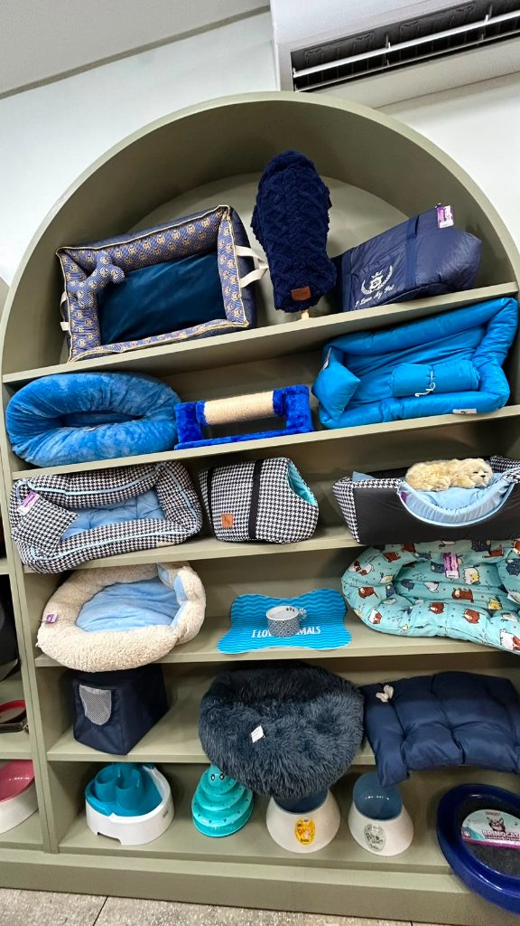 Caminhas, Bolsas e Acessórios Azul e Houndstooth
