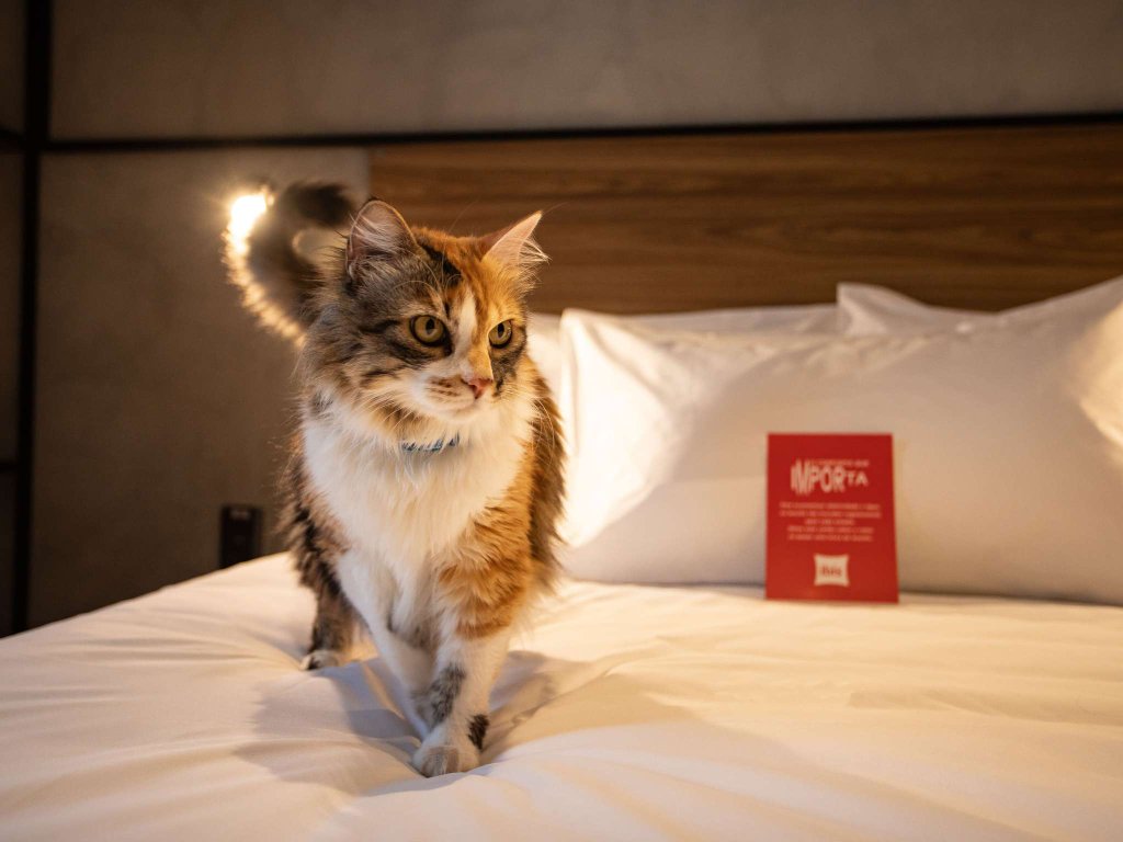 Sweet Bed by Ibis