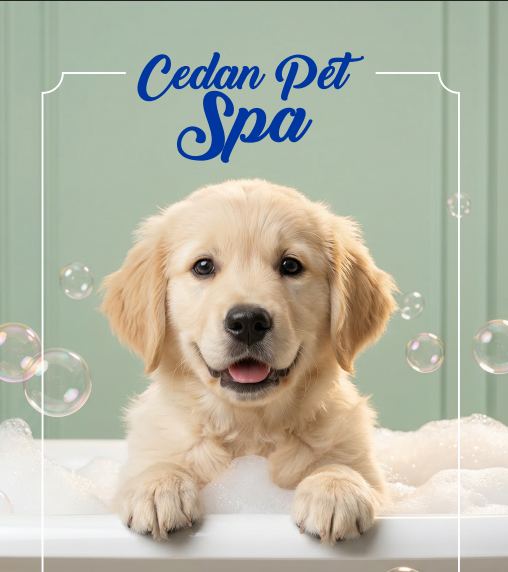 Cedan Pet Spa