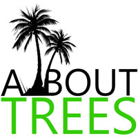 All About Trees