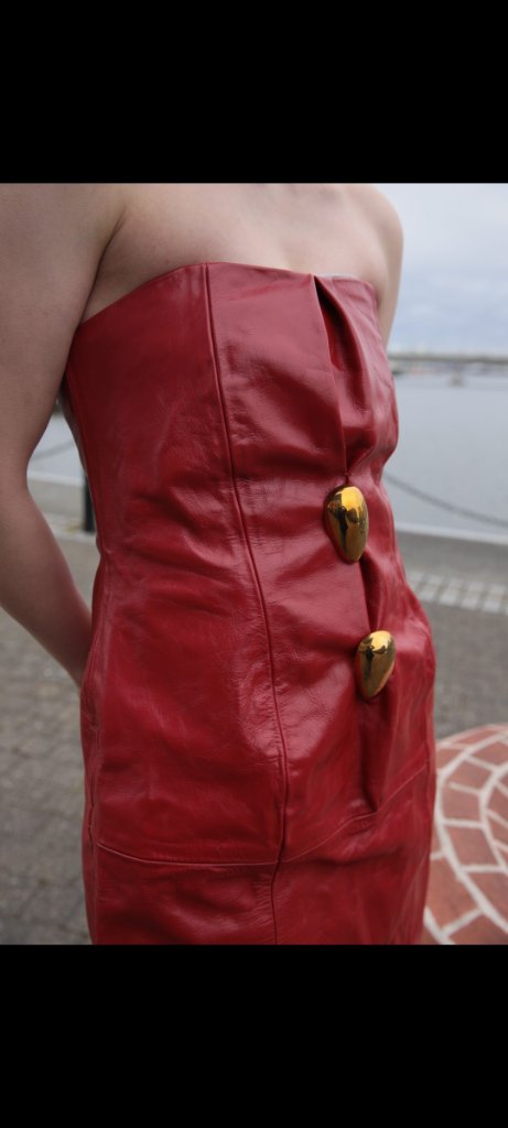 Red Leather Mini Dress