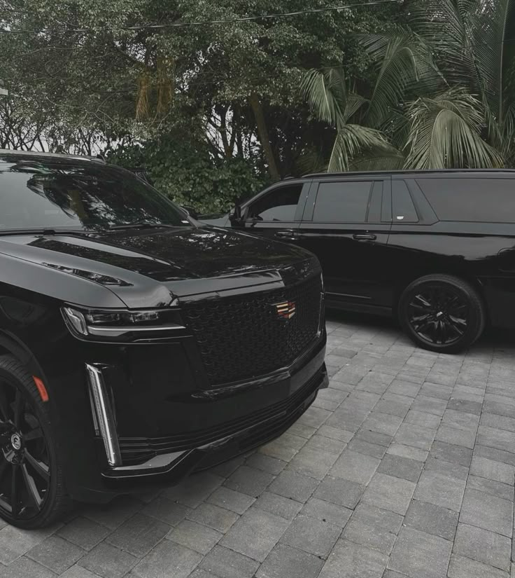 Prestige Ride luxury limo photo 8 - Toronto GTA
