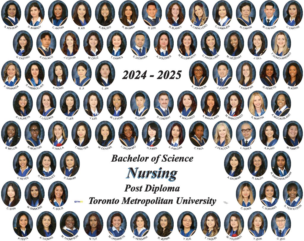 Nursing (Post Diploma)