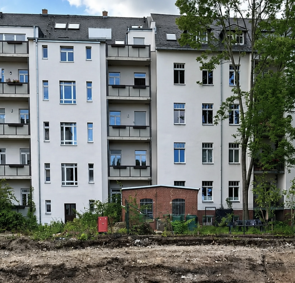 Wycinka drzew - po