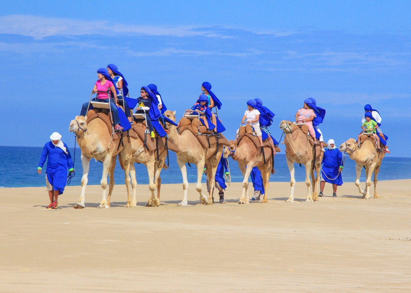 Cabo Beach Camel Ride