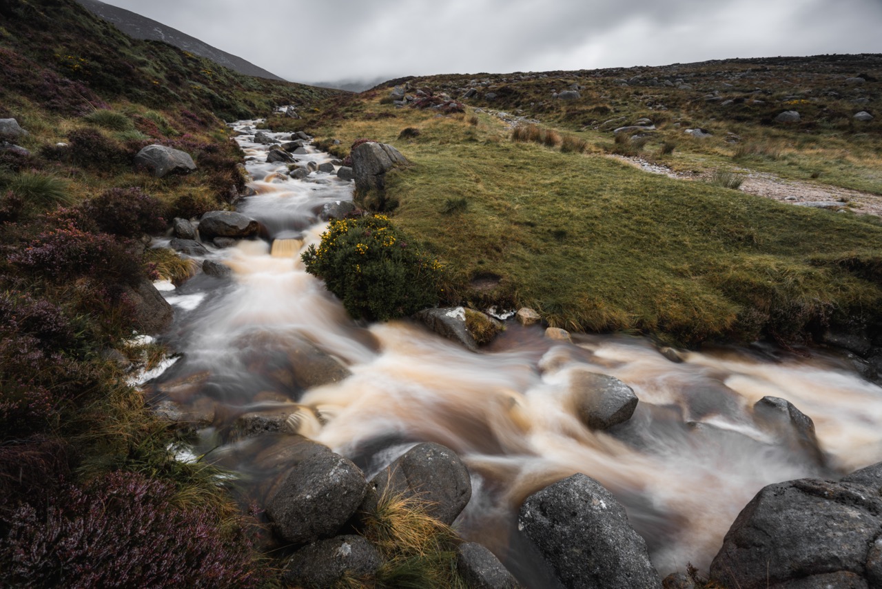 Autumn moorland stream in full spate — peaty water rushing over granite boulders beneath heather and gorse