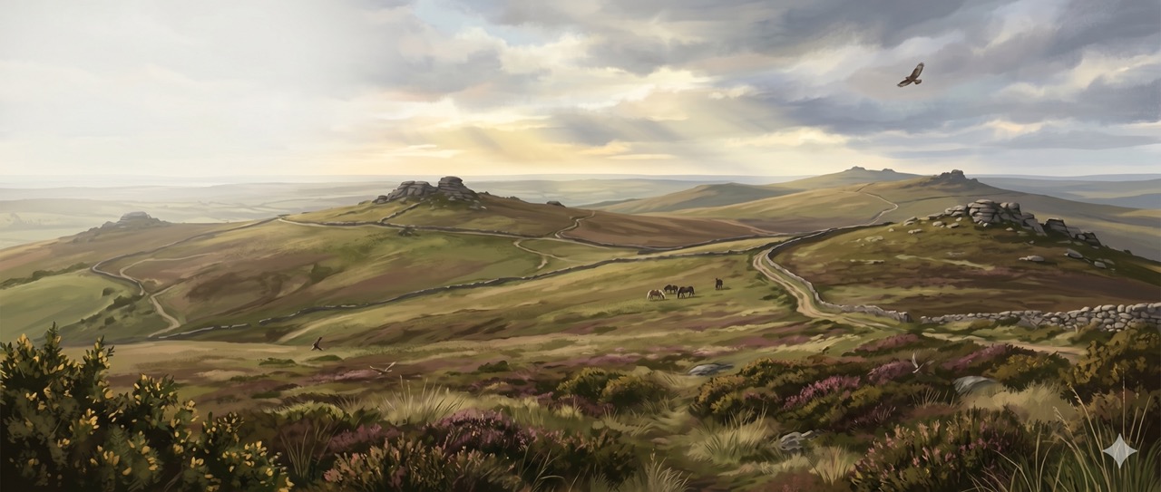Best Time of Day to See Wildlife on Dartmoor