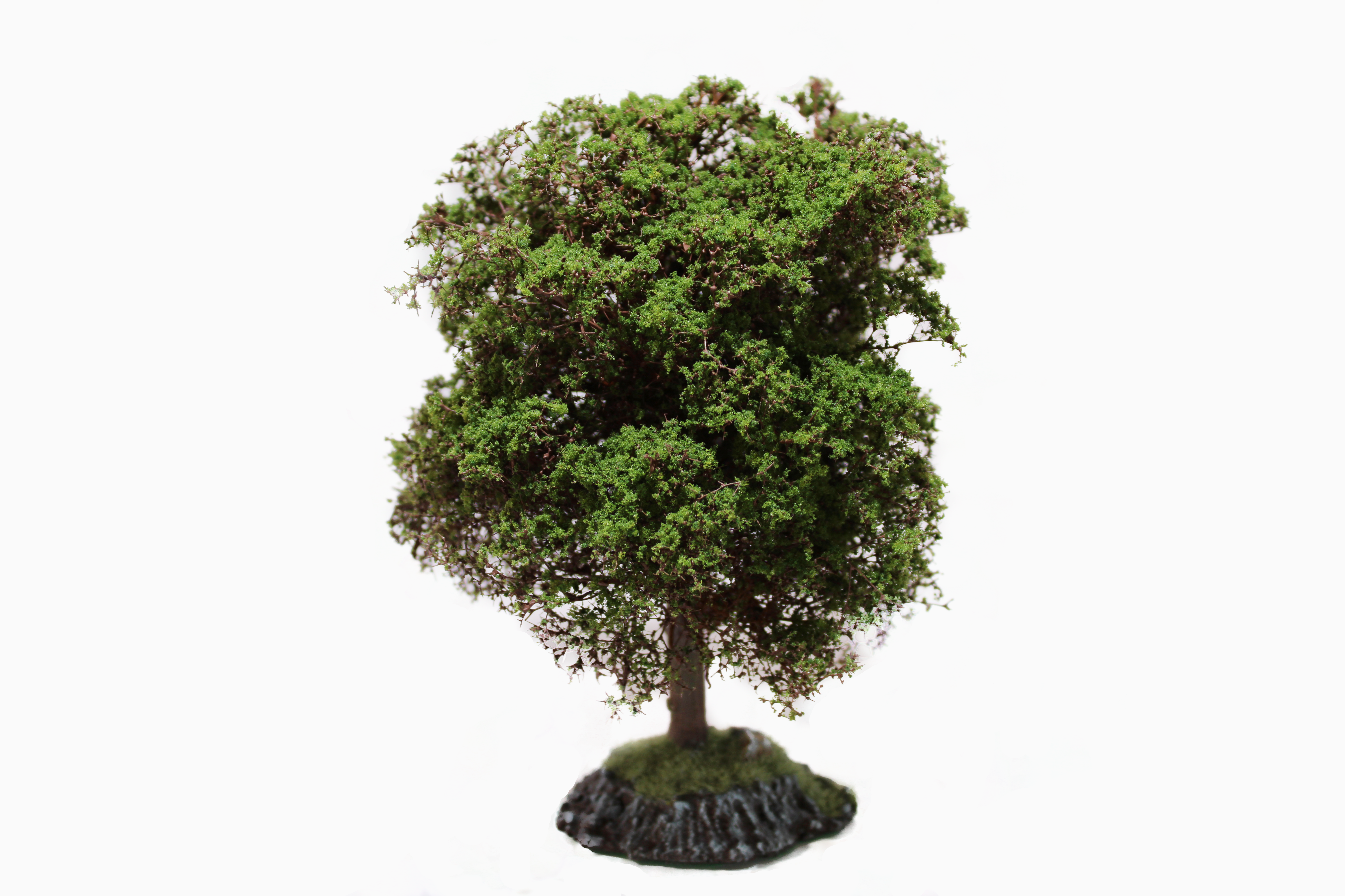 MBC Suppa Tree™- Oak Deciduous (Set of 1)