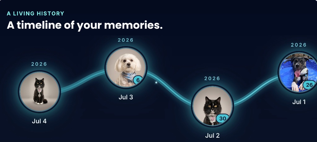 A real Timeline in Pawsitive Messages — pet messages saved day after day along a glowing memory path