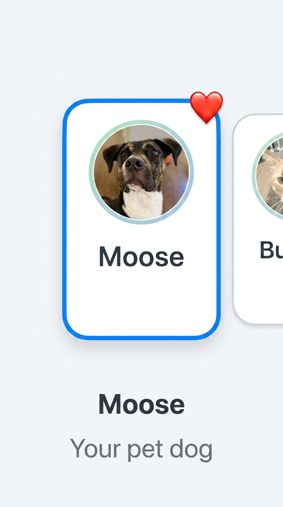 Choose your pet