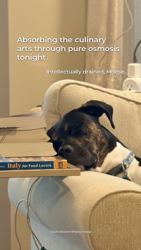 Moose rests beside cookbooks with a caption about absorbing the culinary arts through osmosis.