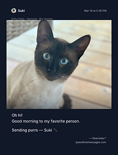 First Hello
