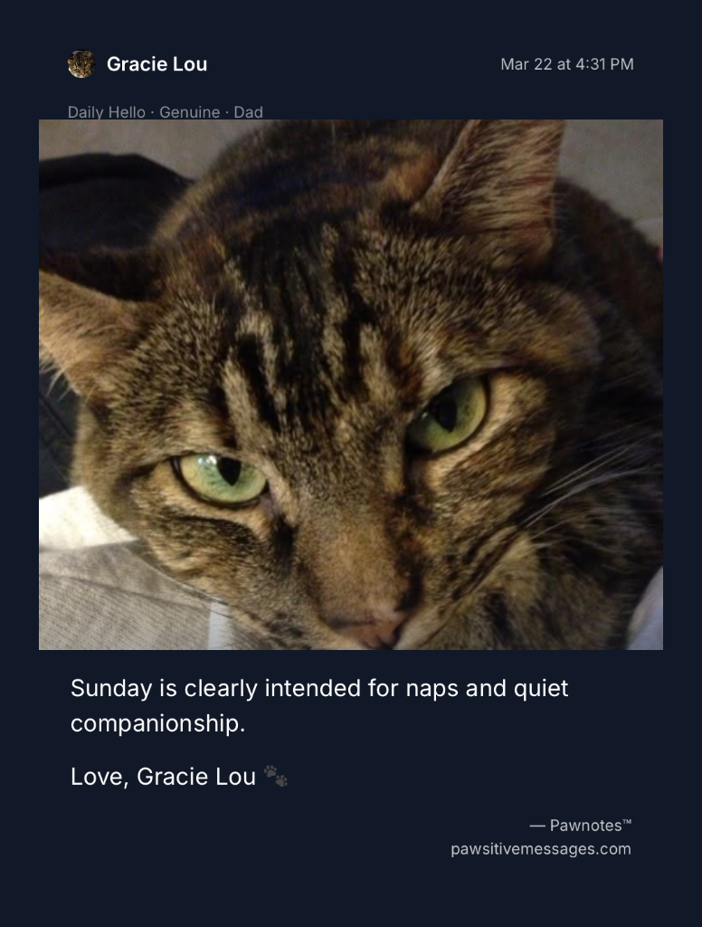 Sunday Naps