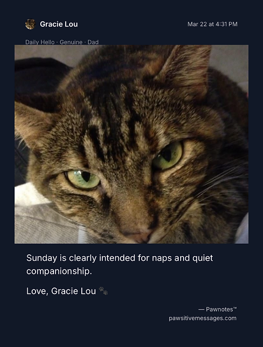 Gracie Lou Sunday naps post
