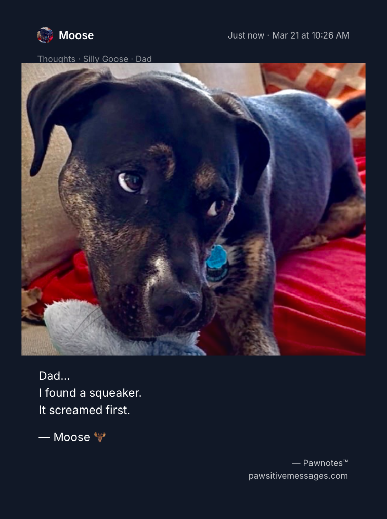 Gotcha Day