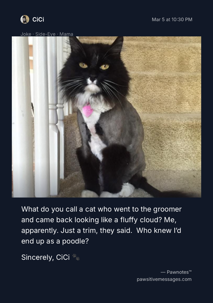CiCi groomer joke post