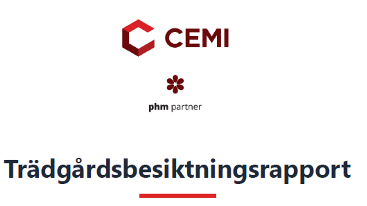 Cemi Platsbesiktning template preview
