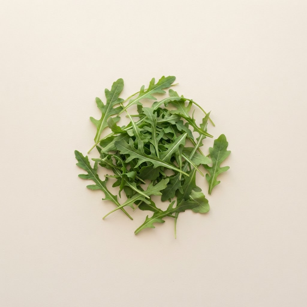 Rucola