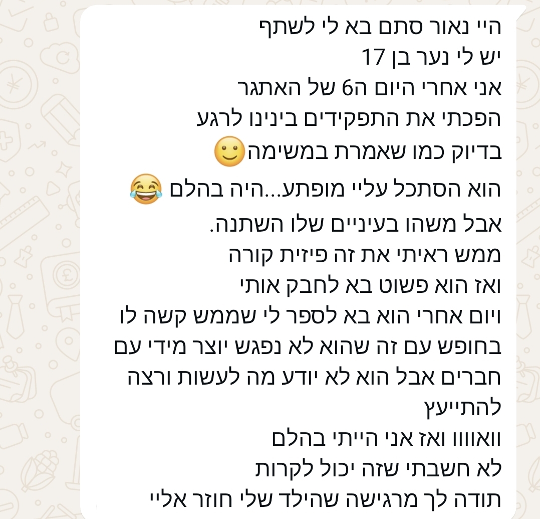 המלצה 2