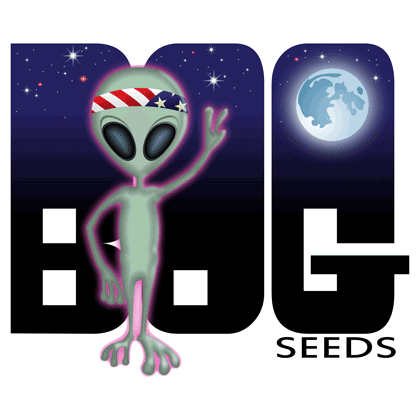 BOG Seeds