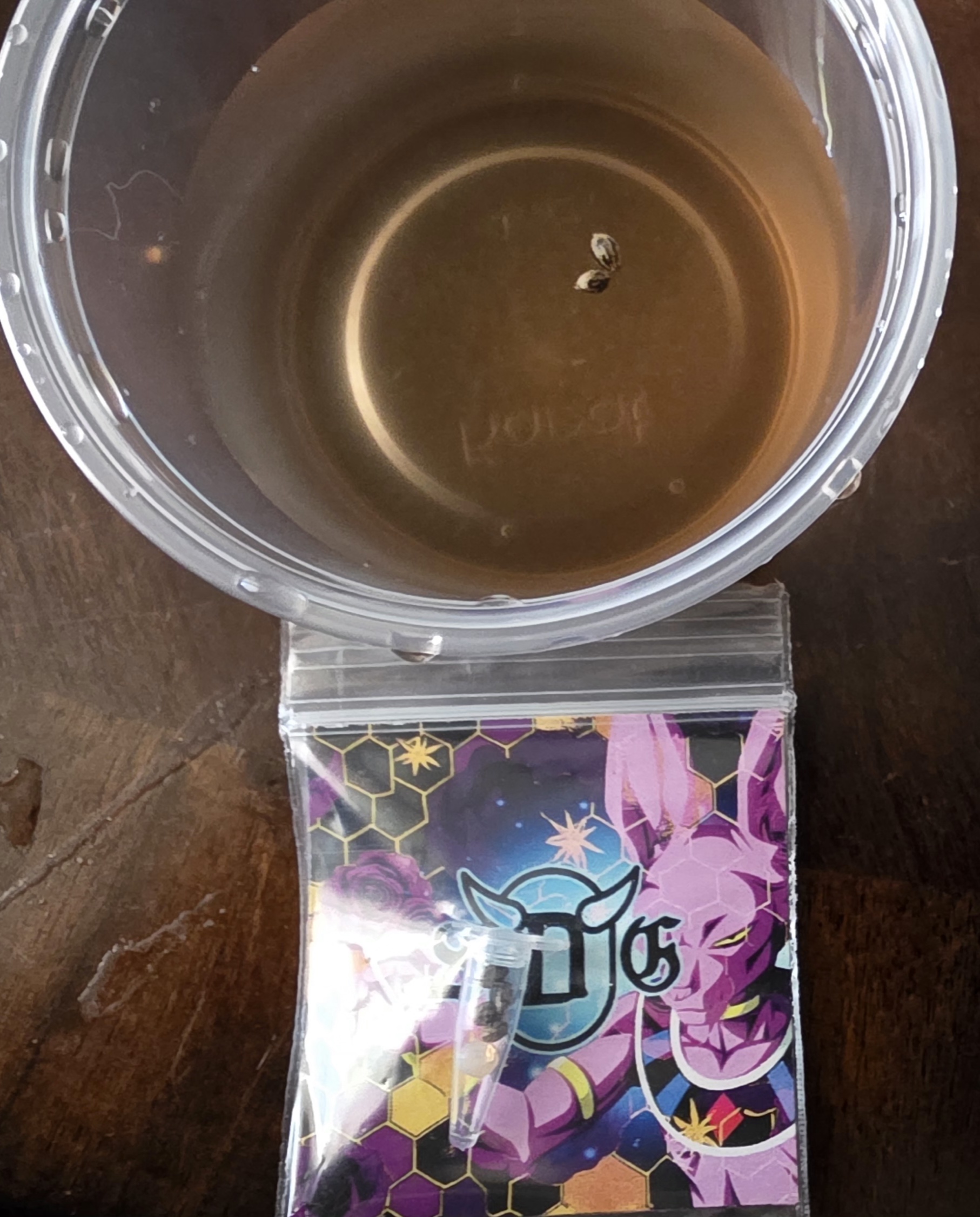 ビルス (Birusu)