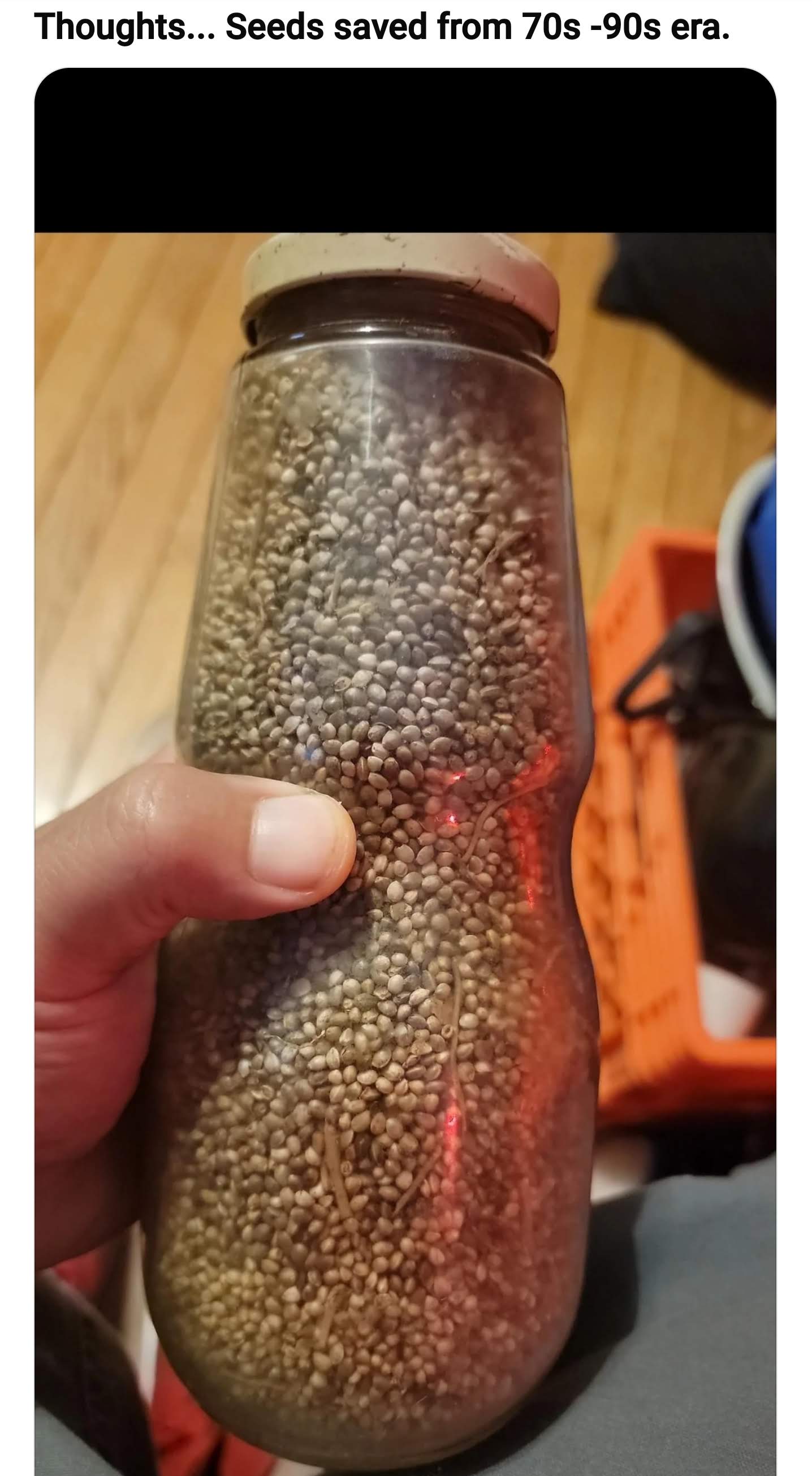 My journey to preserve my father's old stash of seeds.
