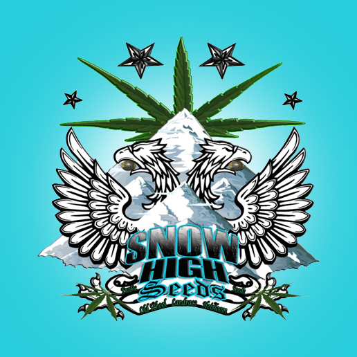 Snow High Seeds