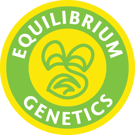 Equilibrium Genetics