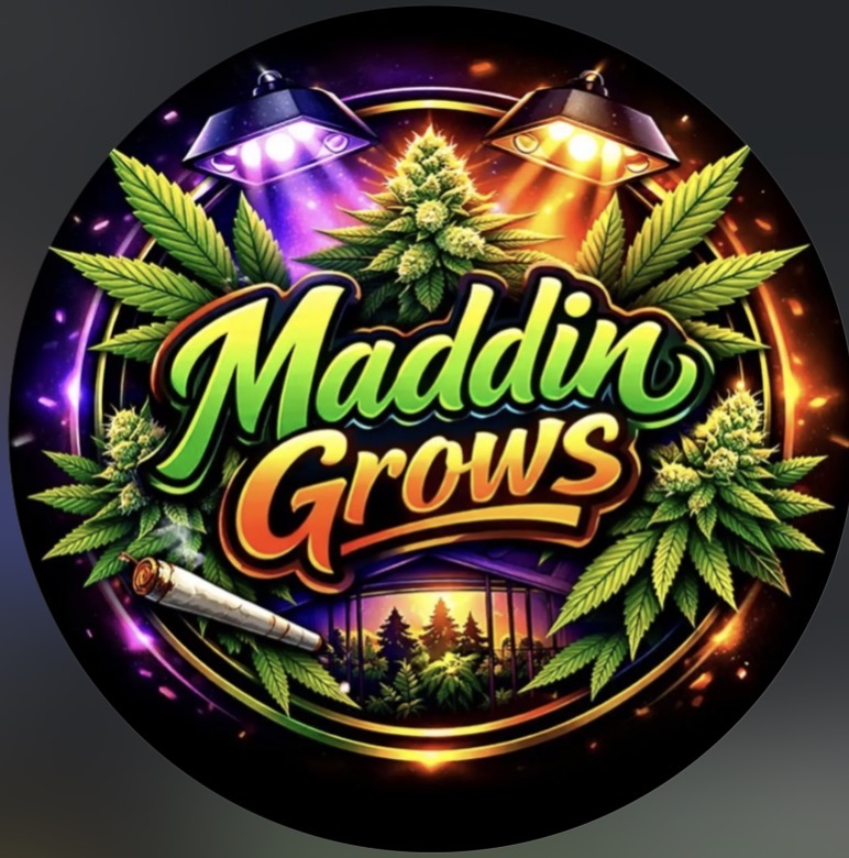 @maddingrows