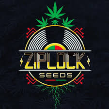 Ziplock Seeds