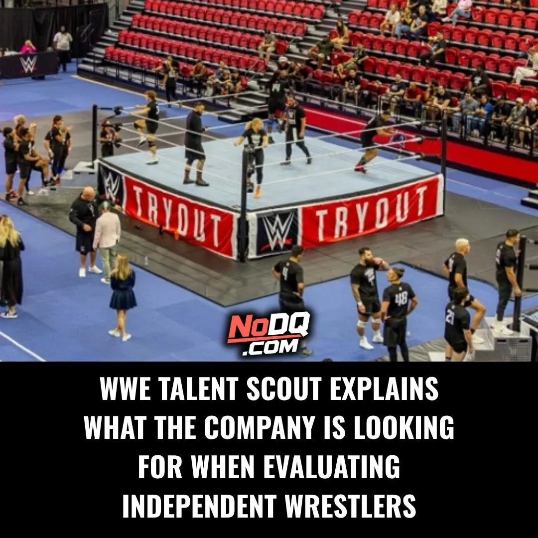 WWE Talent Scout Explains What the Company Looks for in Independent Wrestlers