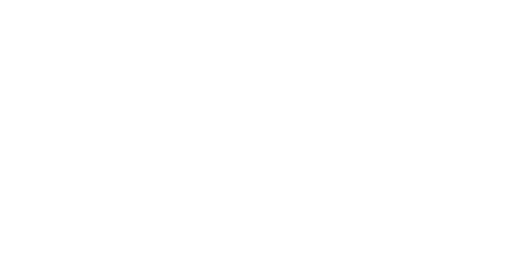 Agent STL